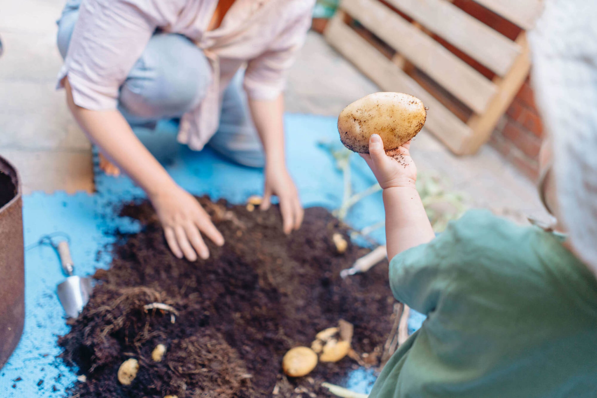 Small Spaces, Big Discoveries: Urban Gardening with Toddlers