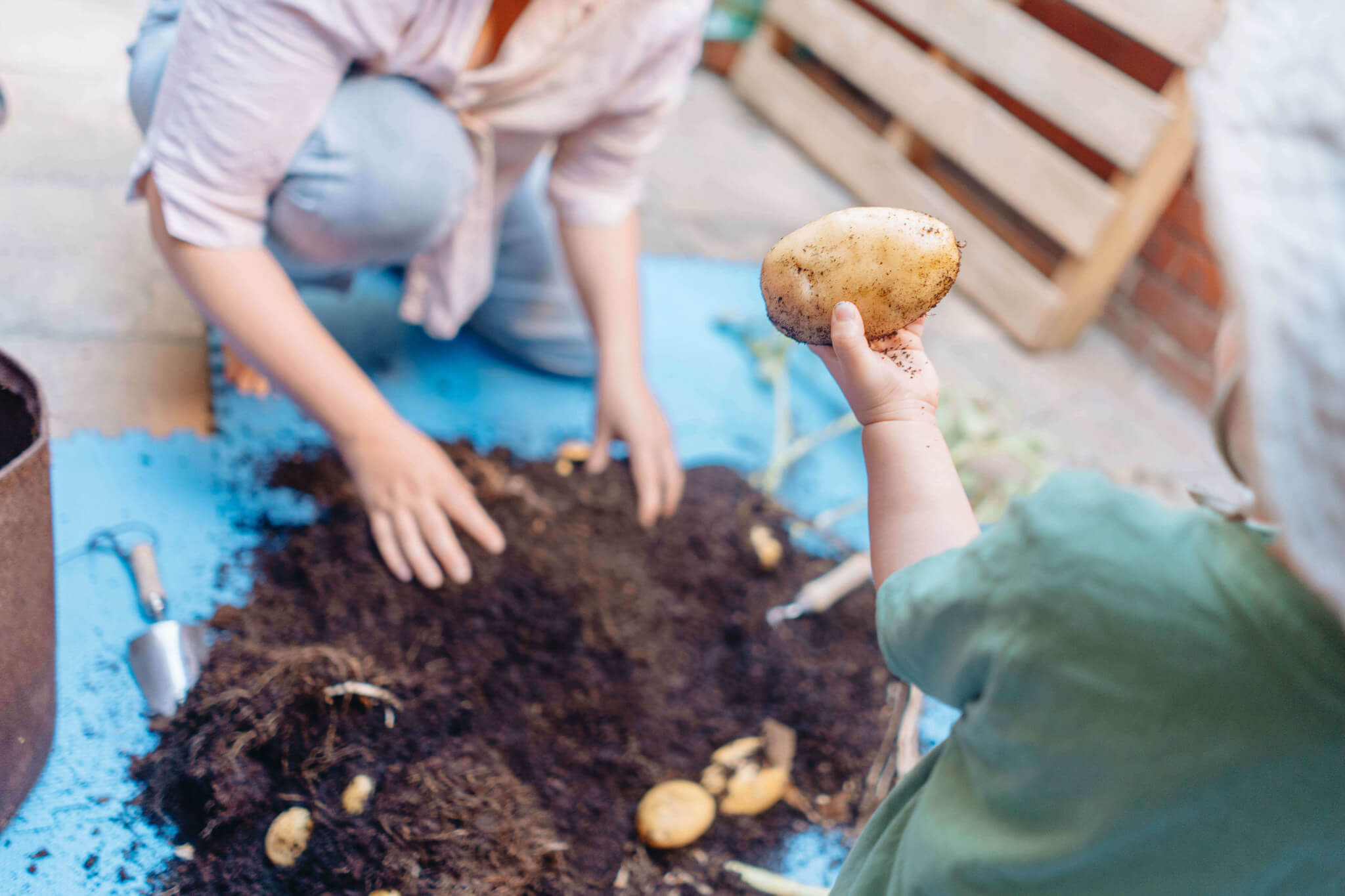 Small Spaces, Big Discoveries: Urban Gardening with Toddlers