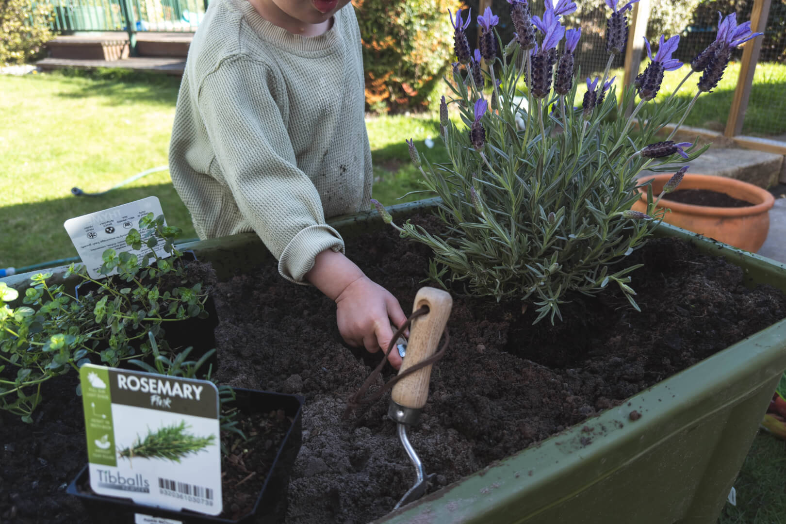 Getting Started with a Herb Garden: A Fun and Easy Guide for Kids